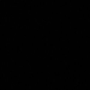 Meet your Posher, Marion